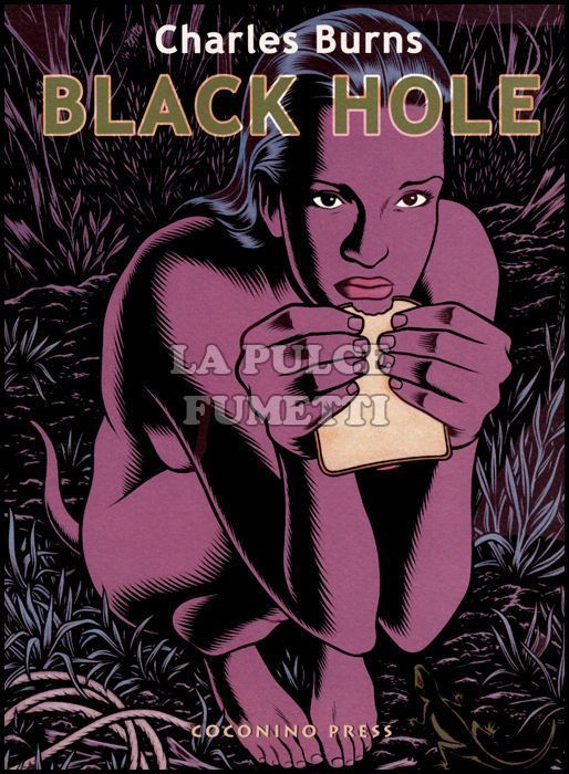 BLACK HOLE #     1